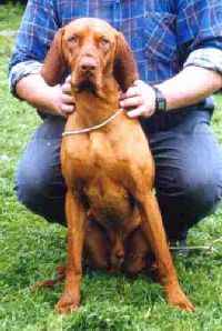 Click for full sized image