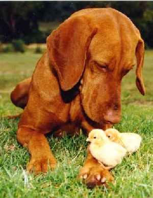 Clilck for full size image