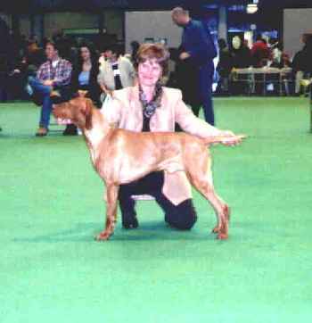 Click to view full picture