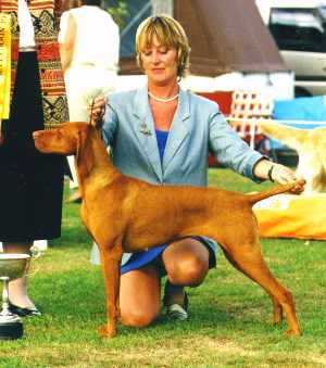 Grand Champion Ruby Roze of Szep-Allat