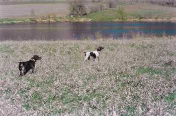 Jake & Jesse, Omaha.