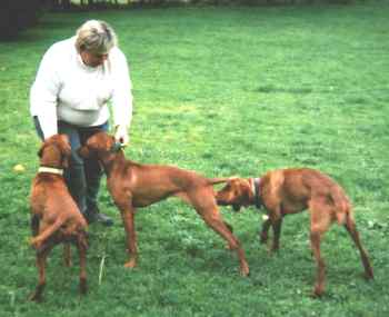 Me and the kids