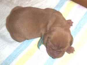 3rd Boy