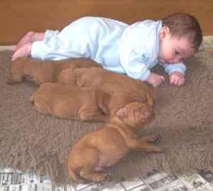 Cool - learning to roll over together!!